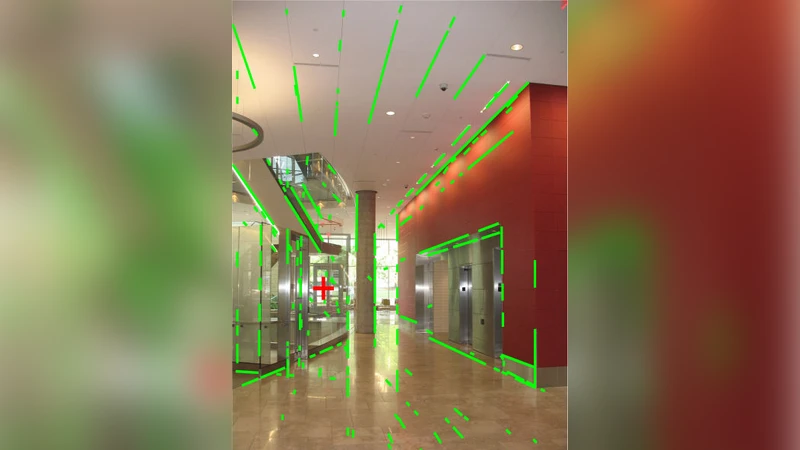 운동과 원근 — 광류와 소실점의 신경공통 메커니즘