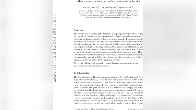 비단조성의 역할과 XOR 순환 네트워크 동역학