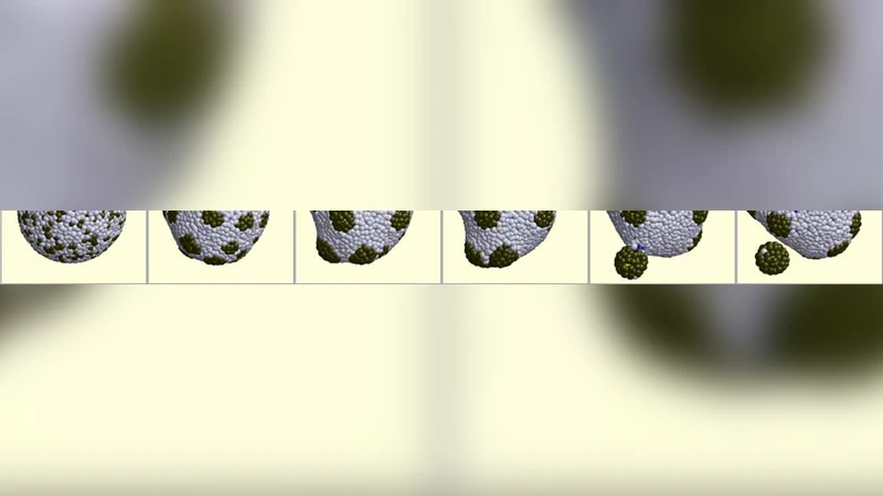 다극 반응 DPD: 공간적으로 해석 가능한 새로운 시스템 생물학 도구