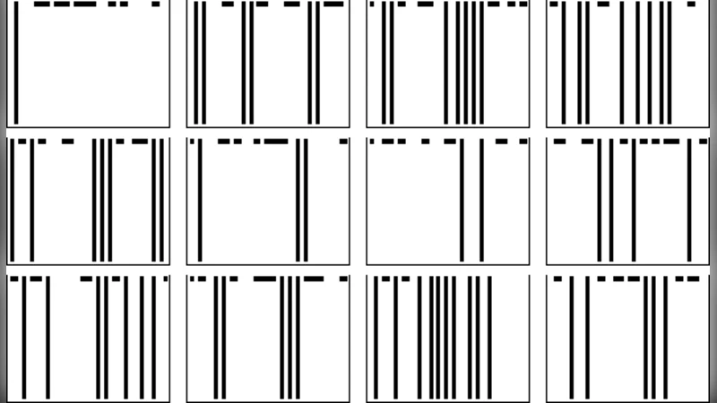 보편 계산의 동적 정성 행동 연구