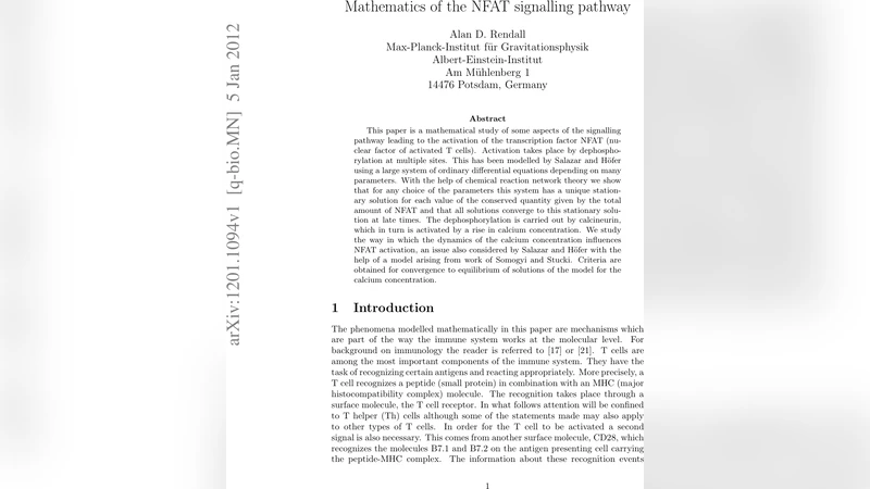 NFAT 신호전달 경로의 수학적 분석
