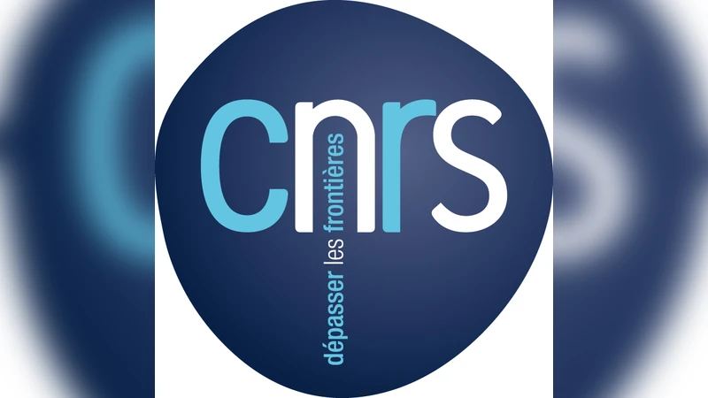 상호작용 시스템·차등 프라이버시·안전 등가성: 정보 은닉의 정량적 접근