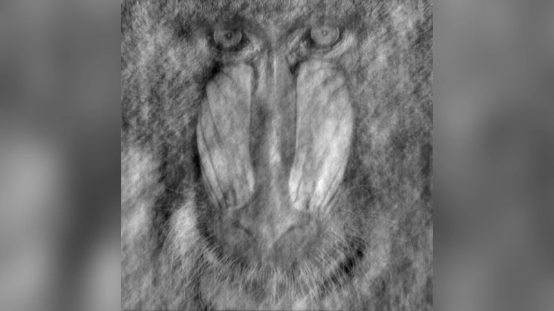 불규칙 샘플링 데이터의 최대 엔트로피 파워 스펙트럼 추정 및 별광도 기록 적용