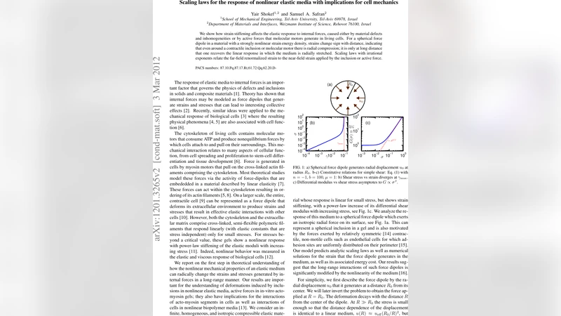비선형 탄성 매질의 응답 스케일링 법칙과 세포 역학에 미치는 의미