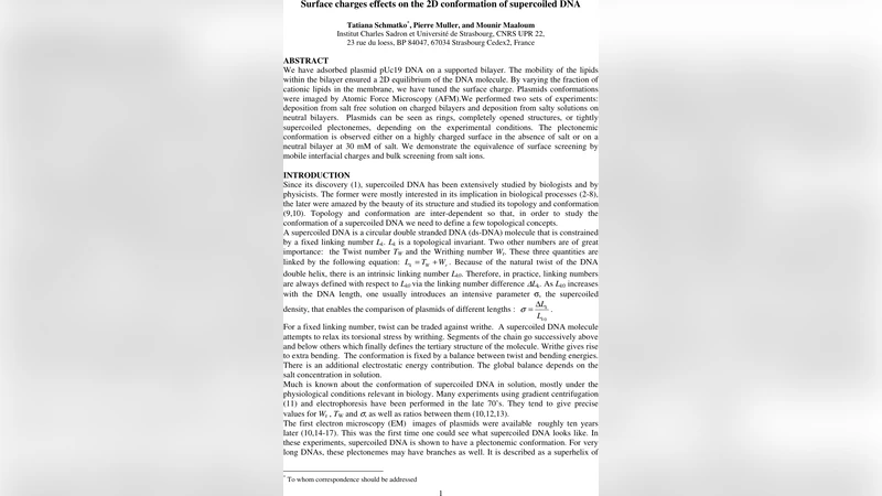 표면 전하가 초꺾인 DNA 2차원 형태에 미치는 영향