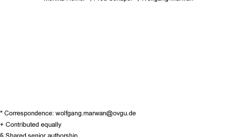 모듈 기반 JAK STAT 시그널링 모델링 실행 가능한 페트리넷 데이터베이스