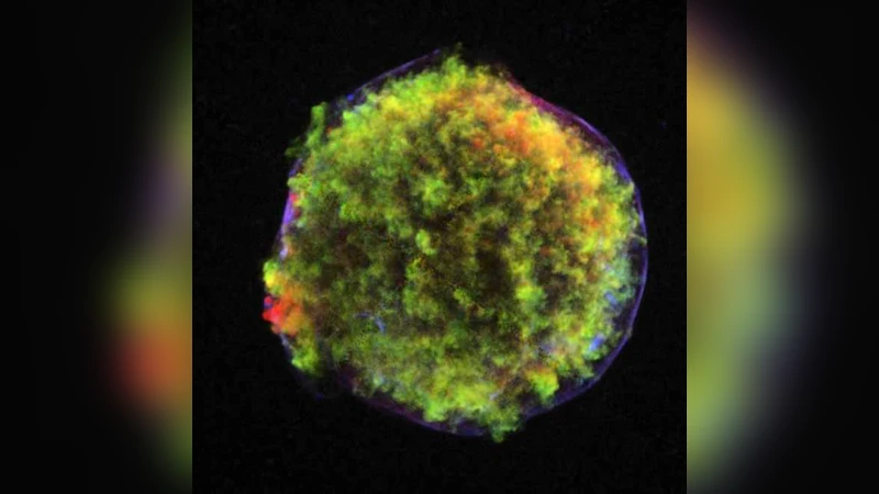 인터넷 사용자 유형이 단순·복합 검색 과제 수행 능력에 미치는 영향