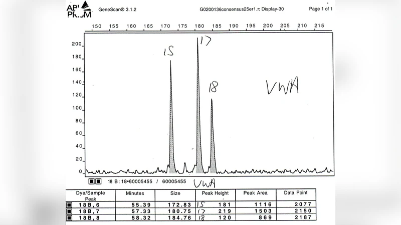 DNA 혼합 분석을 위한 MAIES 전문가 시스템