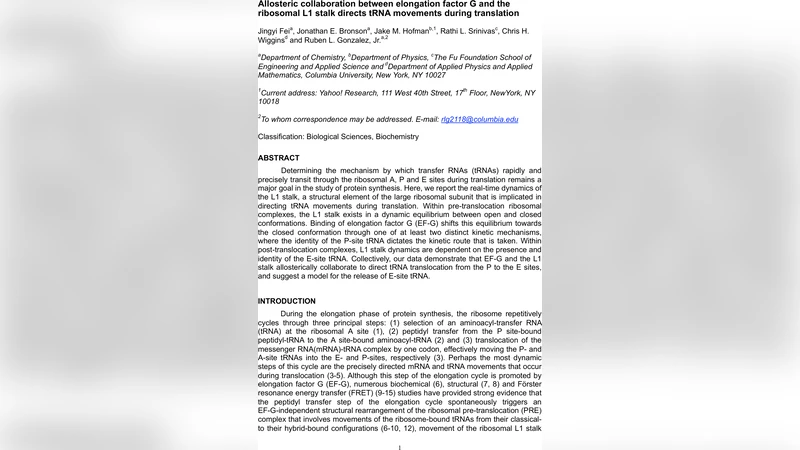 EF‑G와 L1 스터드의 협동이 tRNA 전이와 방출을 조절한다