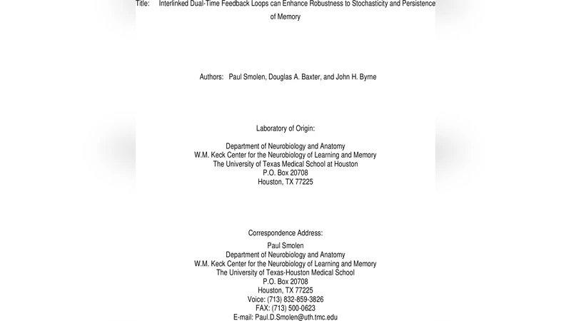 이중 시간 피드백 루프의 상호 연결이 기억 지속성과 잡음 저항성을 강화한다