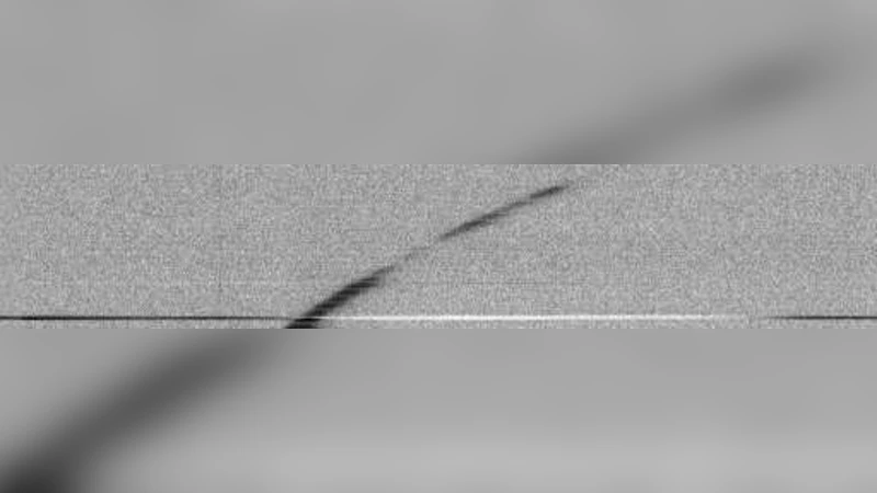 아카이브 파크스 멀티빔 서베이에서 발견된 퍼리톤 유사 전파 폭발 탐색