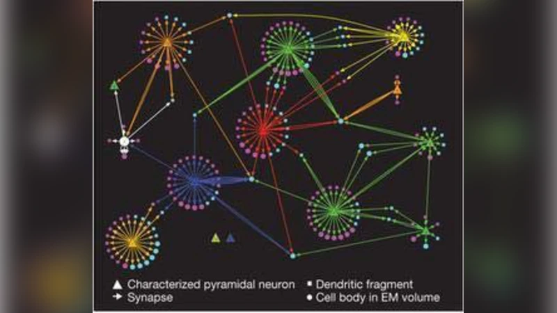 신경망의 미래와 인간 뇌 모사 기술