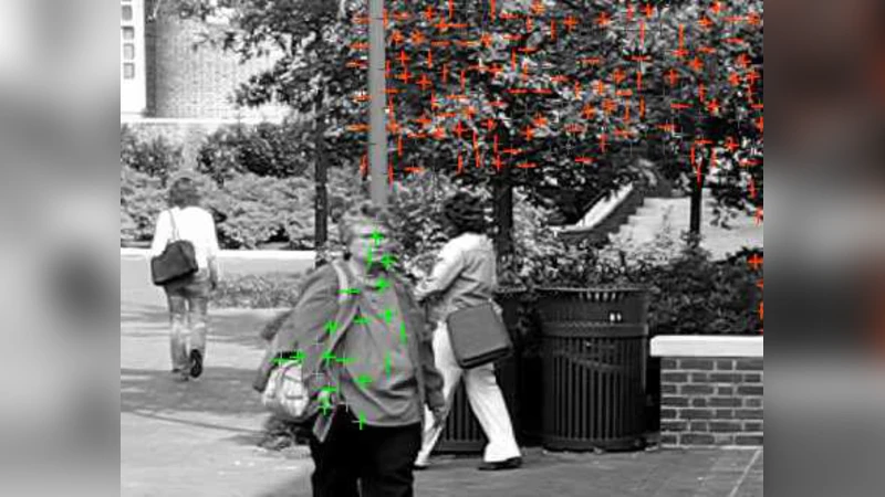 지역 최적 평면을 이용한 하이브리드 선형 모델링