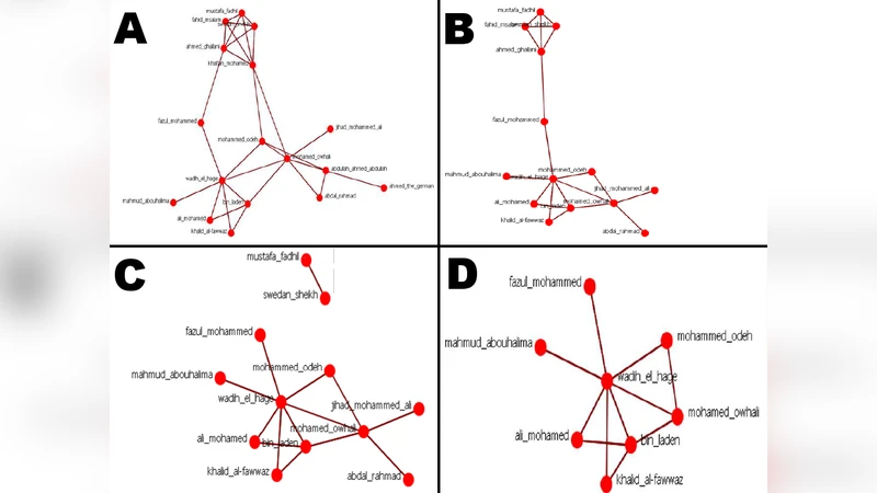 강인한 테러 네트워크 공략을 위한 형태조정 작전