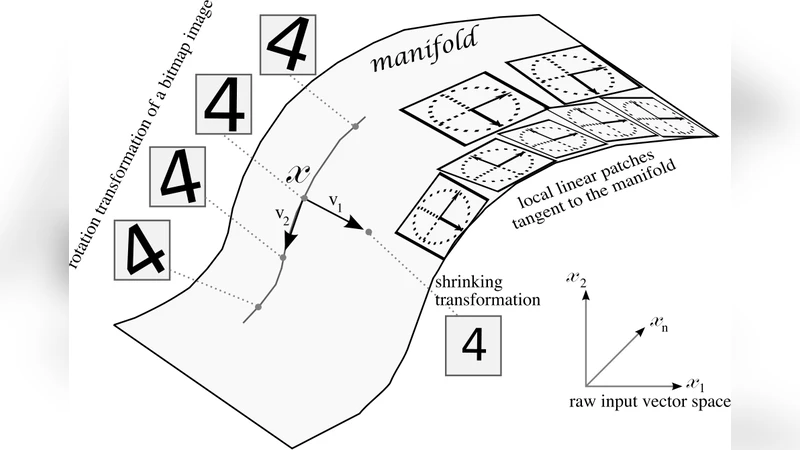 문화와 학습의 진화: 깊은 구조의 지역 최소점 극복