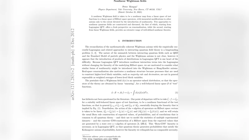 비선형 위트만 장 이론