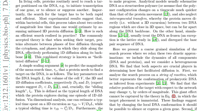 DNA 루프와 서열 이질성이 촉진 확산에 미치는 영향
