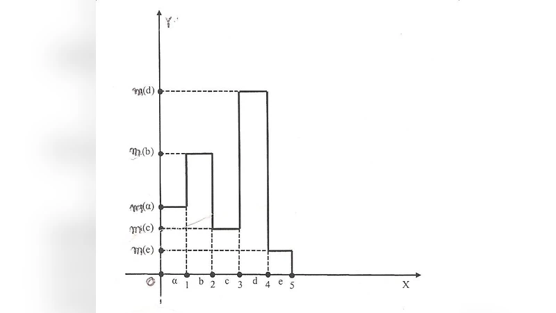 불확실성 속 시스템 운영을 위한 퍼지 모델링과 효율성 평가