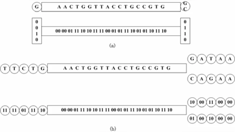 메모리 절감형 희소 k‑mer 그래프 기반 차세대 유전체 어셈블러