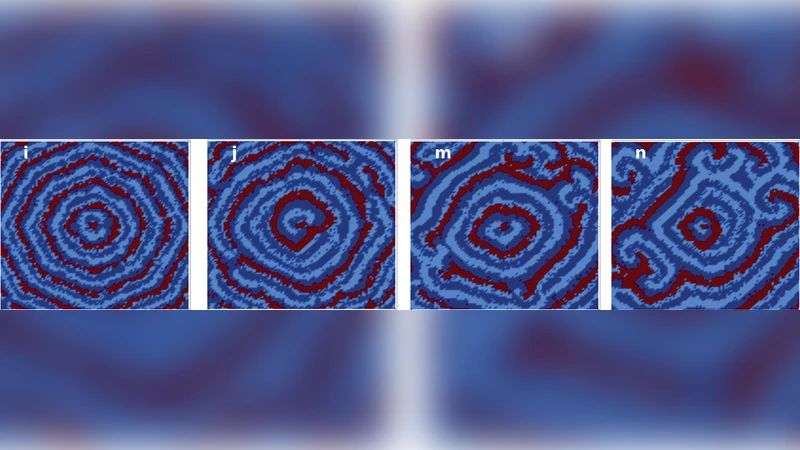 노이즈가 섞인 NFkB 진동은 염증 신호를 안정화하고 민감하게 만든다