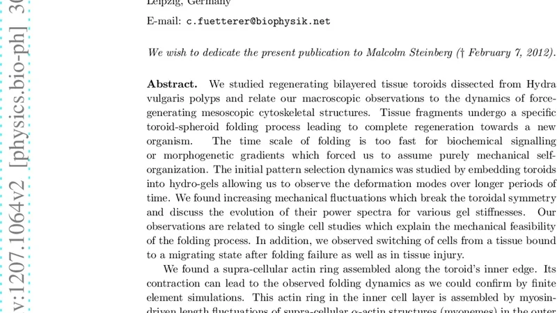 히드라 조직 토로이드 재생에서의 기계적 변동과 차등 수축 메커니즘