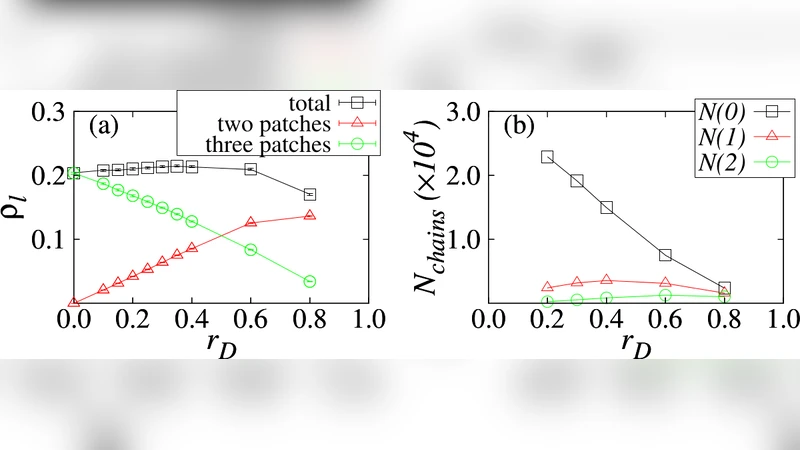 비평형 패치 콜로이드 네트워크 성장