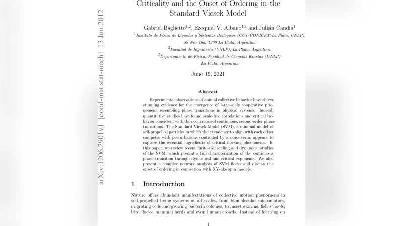 표준 비케크 모델의 임계 현상과 질서 형성