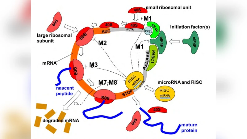 교차 엔트로피 클러스터링을 이용한 타원형 검출
