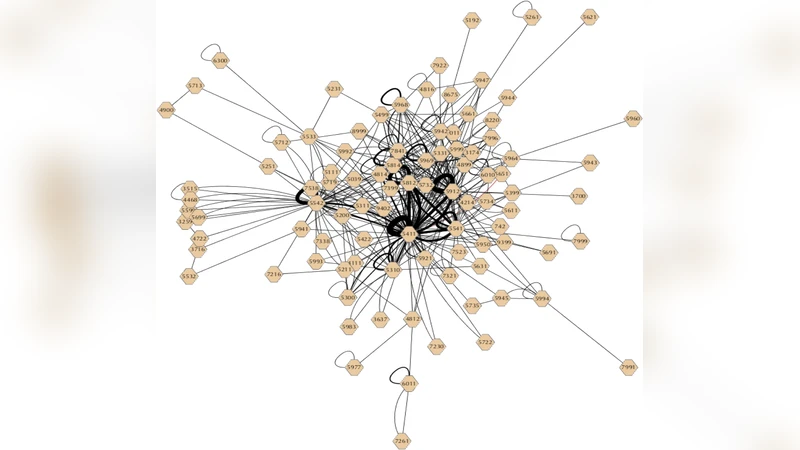 개인 쇼핑 행동의 숨은 규칙성