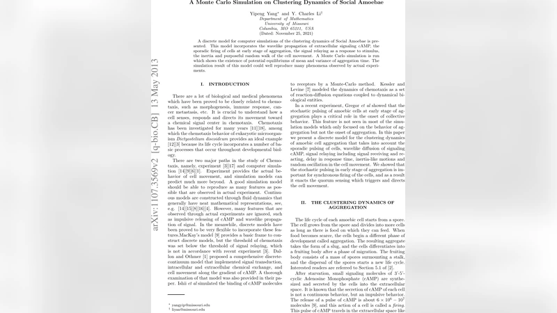 사회아메바 군집 형성의 몬테카를로 시뮬레이션 모델