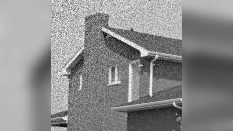 전역 희소성 제약을 이용한 사전 학습 방법