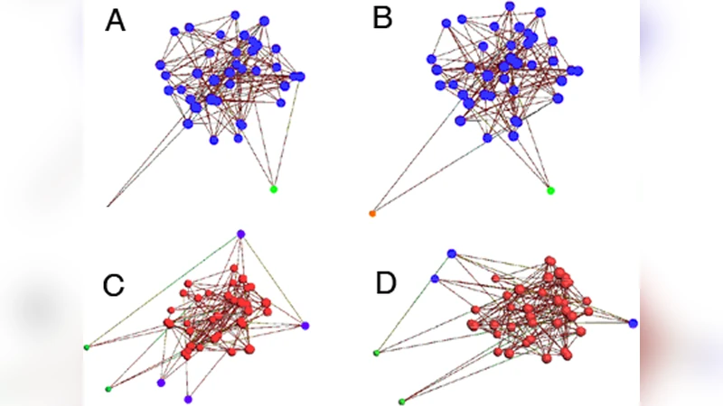 리듬을 만드는 신경망과 k‑코어 구조