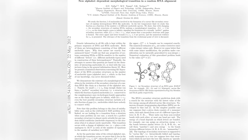 새로운 알파벳 의존형 형태 전이 무작위 RNA 정렬