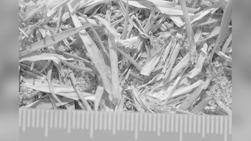 인간 눈의 원산지에서 촬영한 자연 이미지 데이터베이스