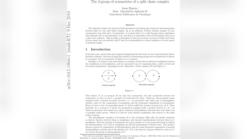 분할 체인 복합체 대칭의 이중군