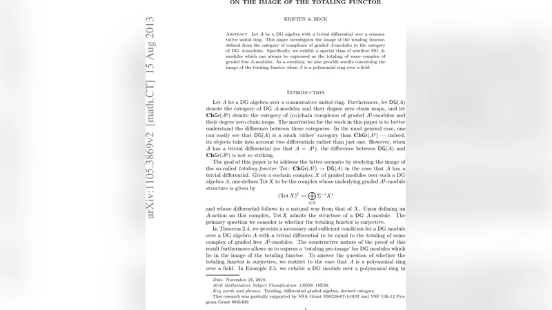 총합(functor) 이미지와 반자유 DG 모듈의 구조