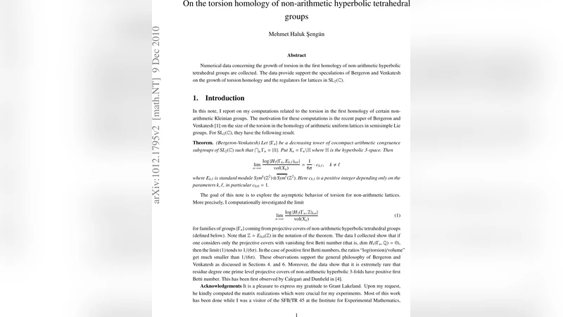 비산술 초월면체 군의 토션 동형론 연구