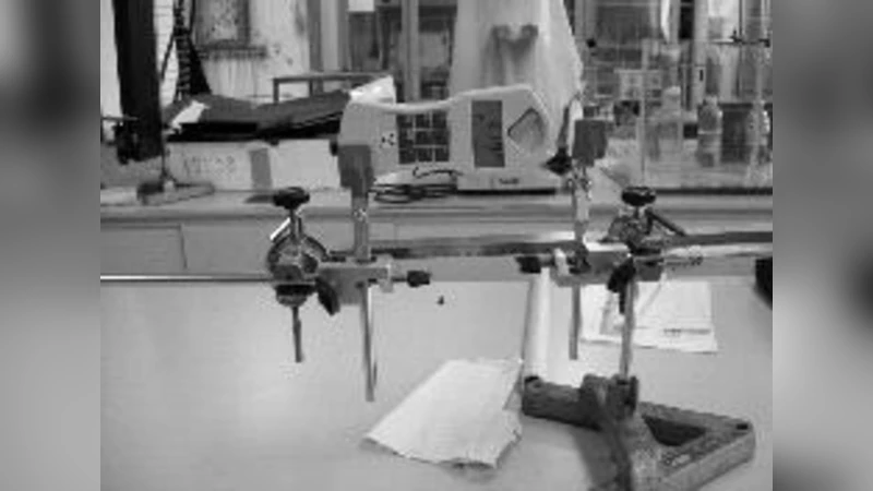 관절형 객체 추적을 위한 DBN 기반 조합 재표본화