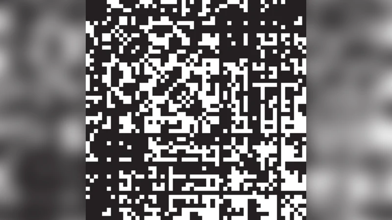 뇌전증 발작 중 기능적 네트워크와 동기화 가능성의 동적 변화