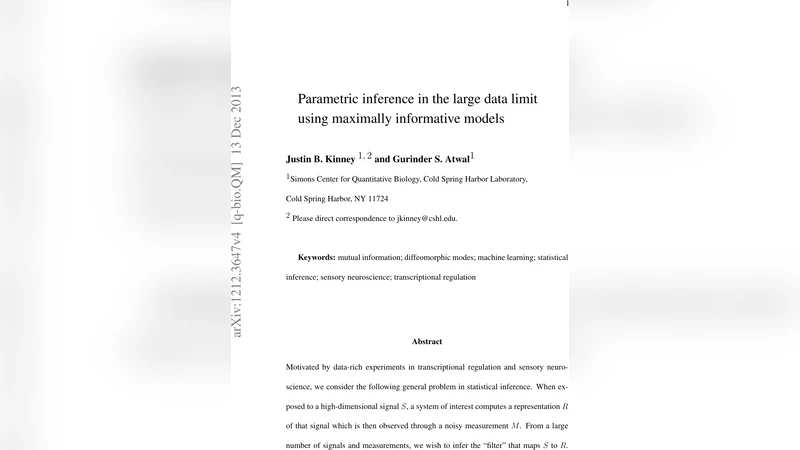 대규모 데이터에서 최대 정보 모델을 이용한 파라미터 추정