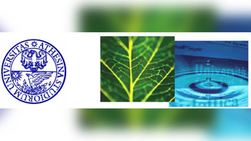 레오나르도 다 빈치의 이상한 이동식 교량