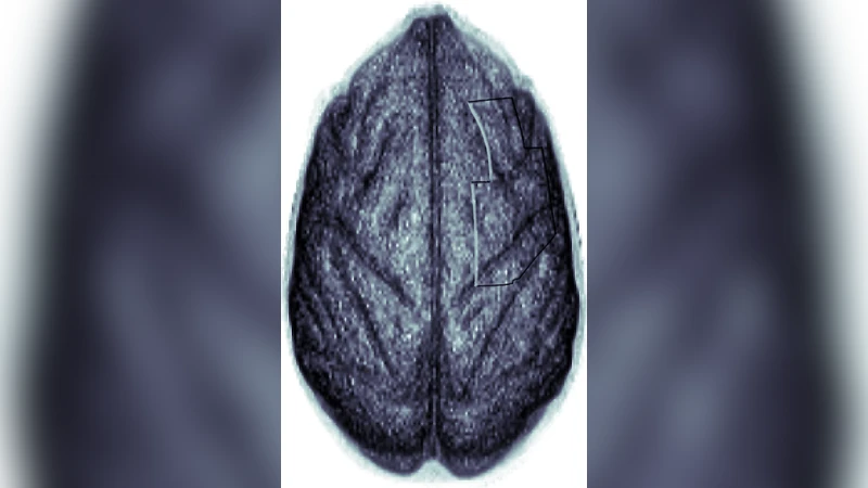 고차원 부분 최소제곱을 이용한 다중선형 회귀