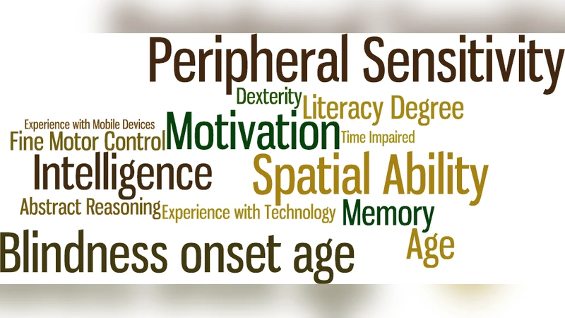 시각장애인을 위한 맞춤형 모바일 인터페이스 설계와 적응 연구