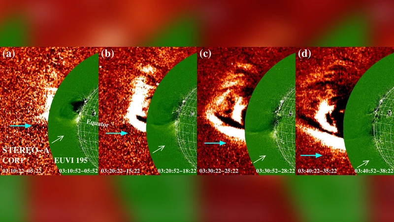 SDO AIA가 포착한 전지구적 코로나 EUV 파동: 다중 구성과 파동 리플