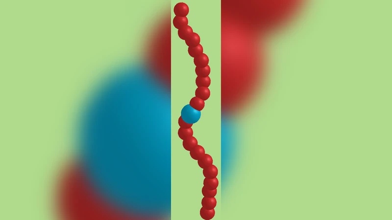 활성 고분자에서 비보존력과 유효 온도