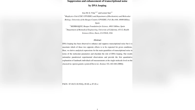 DNA 루프가 전사 잡음에 미치는 억제와 증폭 메커니즘