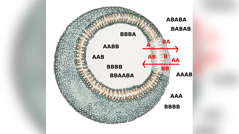 고등학생 교실 내 접촉 패턴의 안정성 및 구조적 특성