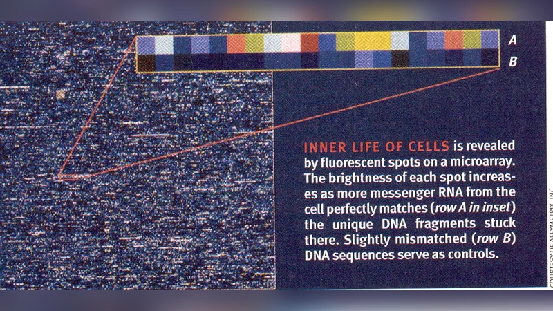 지구 내부의 열을 밝히는 지오 뉴트리노 최신 동향