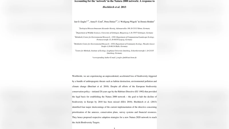 네추라 2000 네트워크의 진정한 의미: 네트워크 연결성 강조