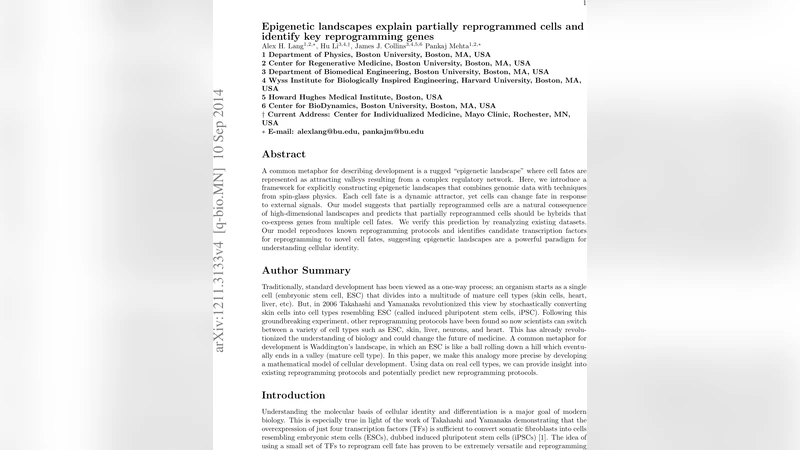 에피제네틱 풍경으로 본 세포 재프로그래밍 메커니즘과 핵심 전사인자 탐색